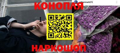 винт Пушкино