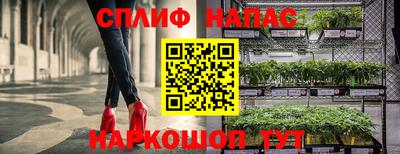 прущие крисы Пугачёв